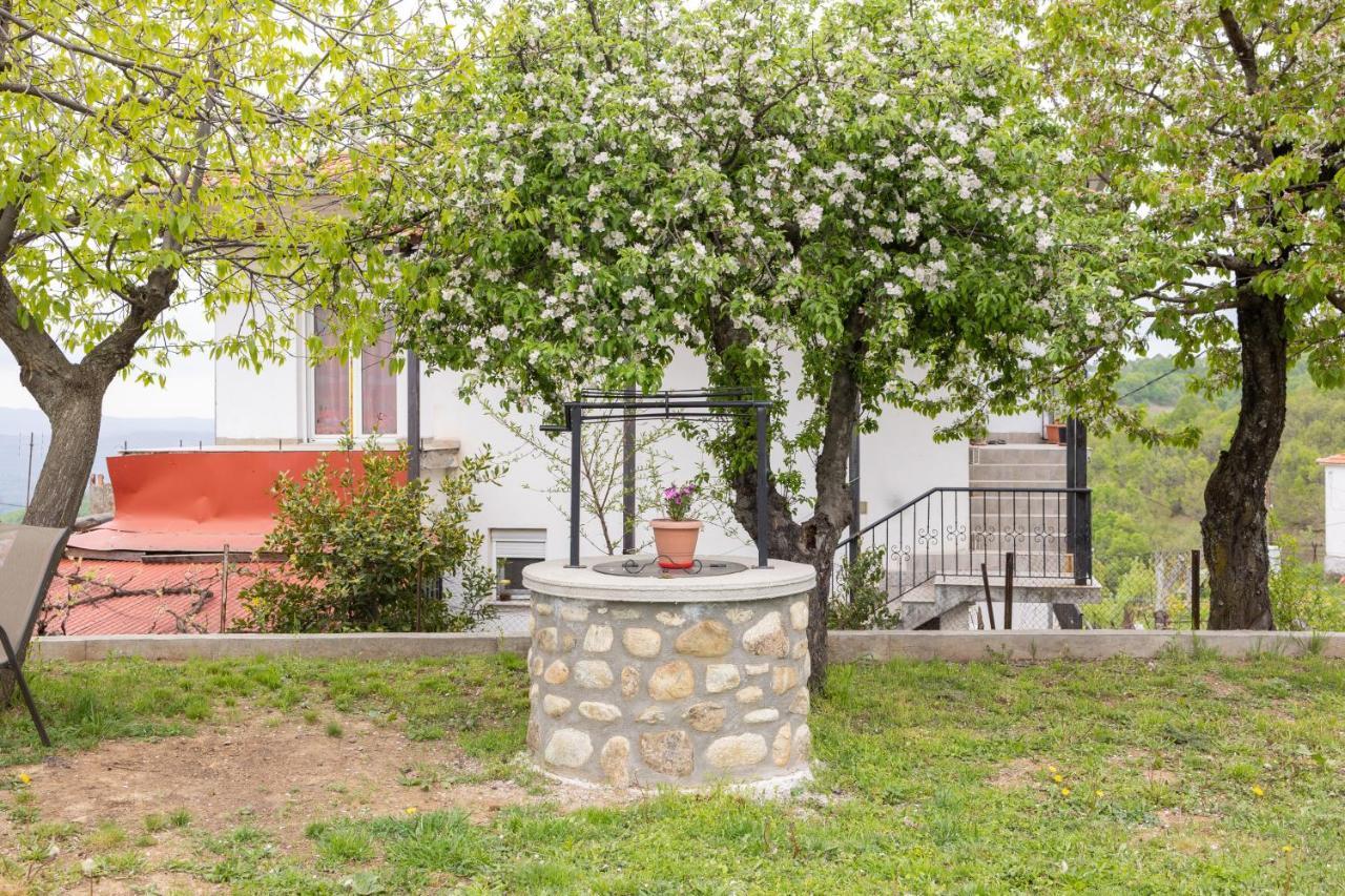 Archontiko Fotini - Traditional Guesthouse Meteora Kalambaka Exteriér fotografie